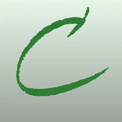Cs_cleansalon, лого-визитка