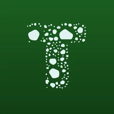 Темп, баскетбольный клуб, лого-визитка